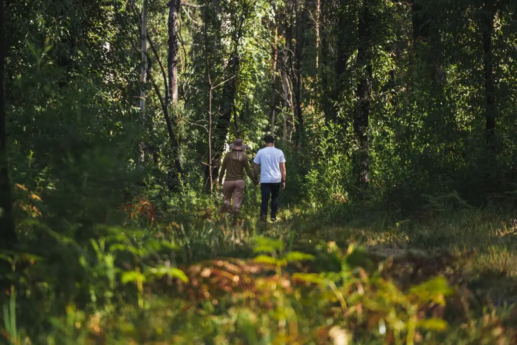 bower couple in forest