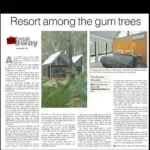 ResortAmongTHeGumTrees