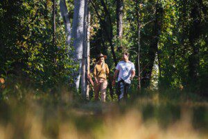 Discover the Gentle Art of Forest Bathing