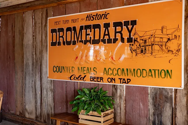 dromedary pub tilba