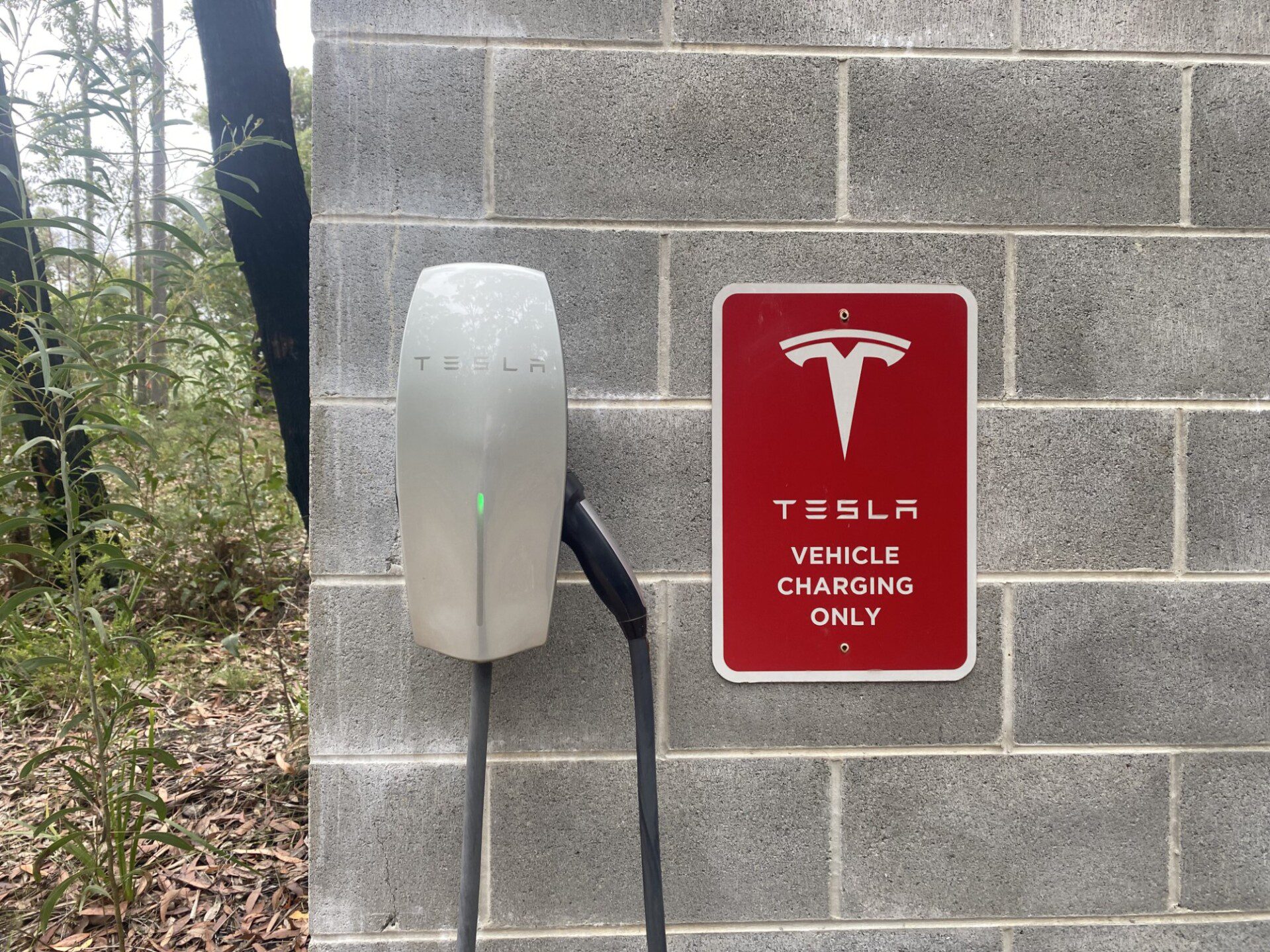 Onsite tesla destination Charger at The Bower